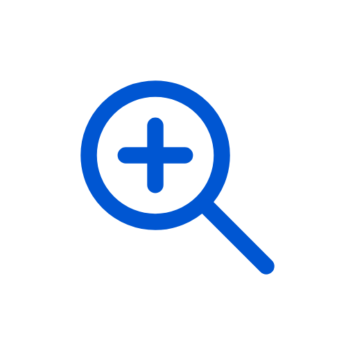 icon zoom